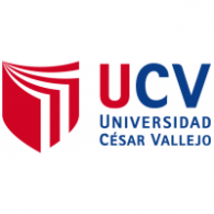 Formación Académica - Derecho Penal y Procesal Penal en aplicación de Nuevo Código Procesal Penal