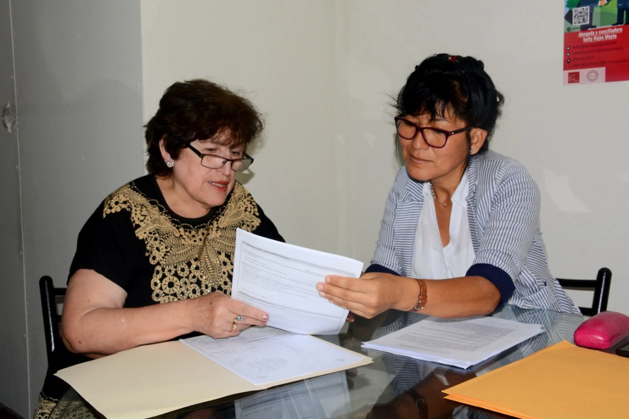 ¡Domina la Identificación de Materias Conciliables y Evita Errores en Conciliación!